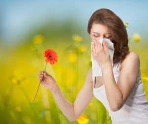 Why Are Your Allergies So Bad in the Spring?