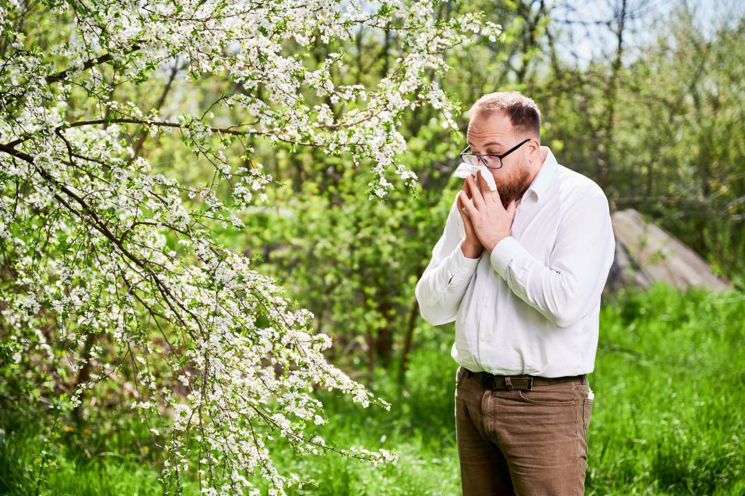 How to Alleviate Spring Allergies in Tampa